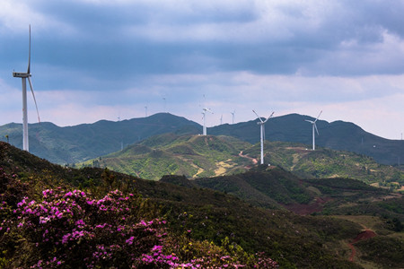 DSC_2499磨豆山風光Y.jpg