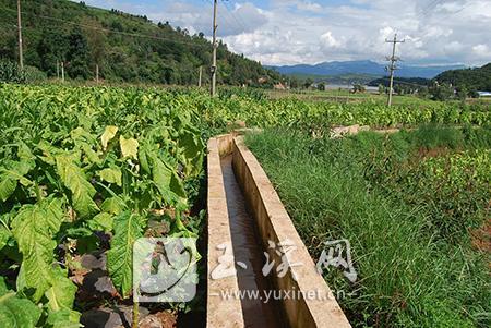 協(xié)調(diào)資金修建的桐關(guān)村茨通鋪小組灌溉東大溝工程