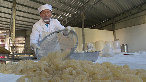 冬瓜蜜餞，一方水土的味覺記憶.jpg