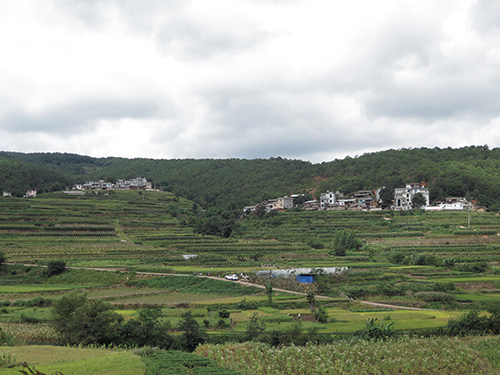 紅白事“瘦身” 文明風拂面.jpg 紅白事“瘦身” 文明風拂面.jpg