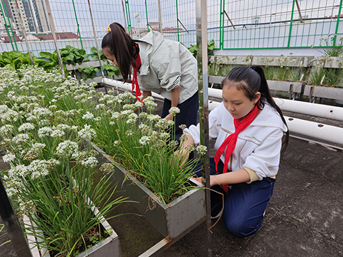 紅塔區“五育并舉”繪就素質教育生動畫卷.jpg