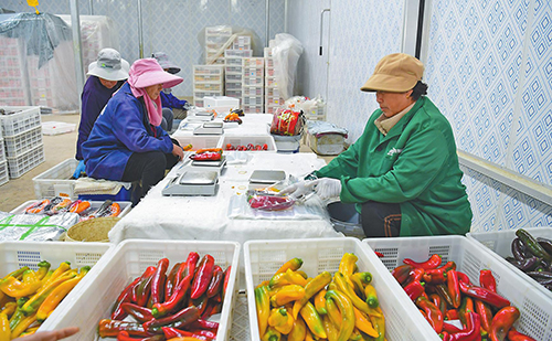 打造興業富民“新引擎”.jpg 打造興業富民“新引擎”.jpg