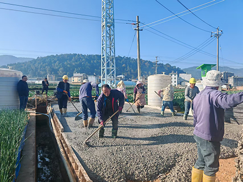 九龍街道:以工代賑穩就業惠民生.jpg 九龍街道:以工代賑穩就業惠民生.jpg