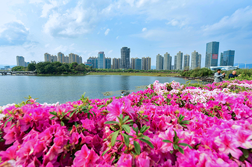 市民游客盡享春日美好時(shí)光.jpg 市民游客盡享春日美好時(shí)光.jpg