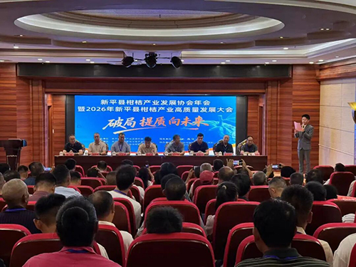 新平：專家獻策助力柑桔破局提質.jpg