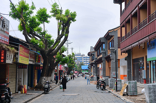 青石板下見(jiàn)功夫 老墻內(nèi)外有煙火.jpg