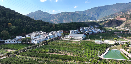 產業興旺 鄉村蝶變 大地豐收 生活富裕.jpg