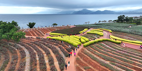 綠茵千里引客 文體旅商同興.jpg